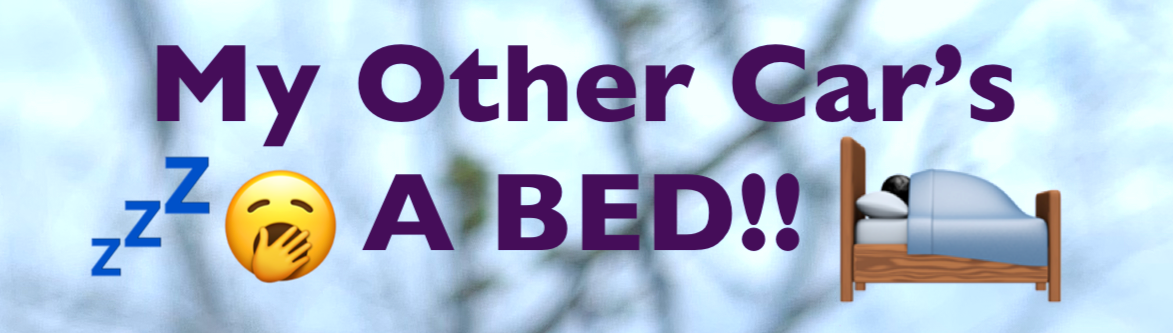 Snooze Fest Bumper Sticker